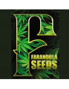 Semillas de cannabis FarandulaSeeds