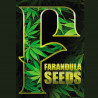 Farandula Seeds